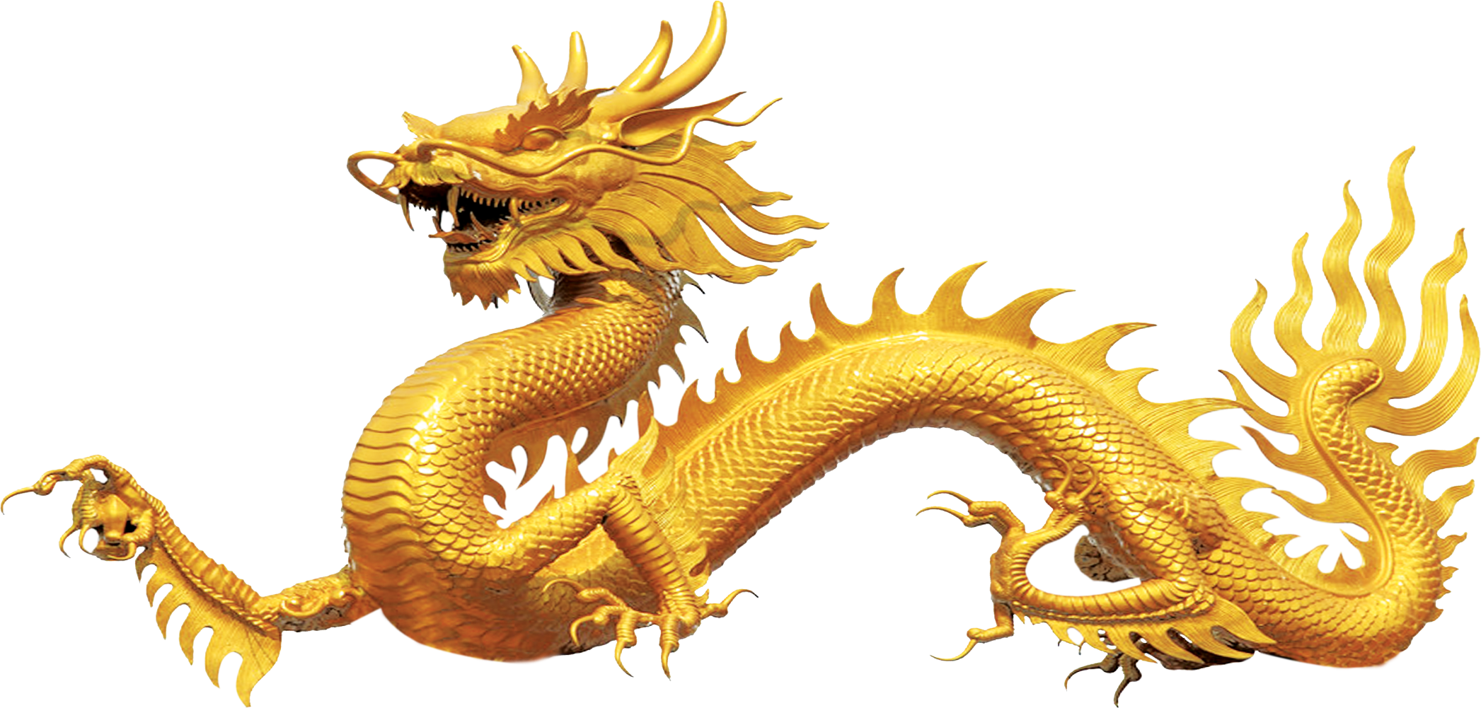 中国引流网